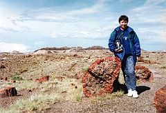 1997 - USA 137 (Petrified Forest National Park, AZ)